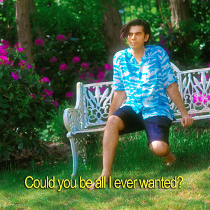 All I Ever Wanted cover